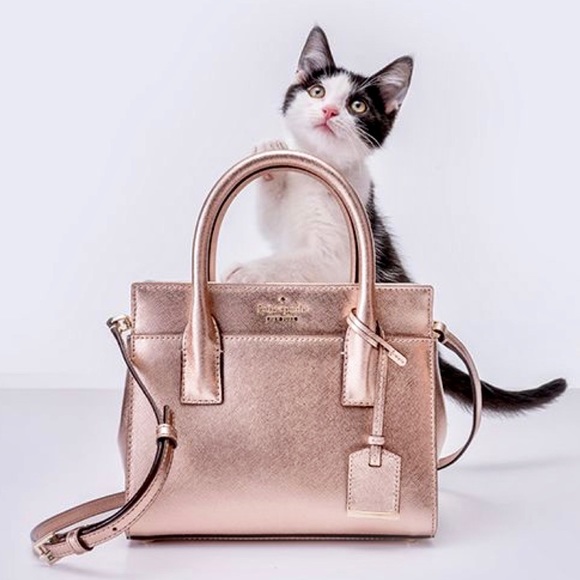 Meet your Posher, Eleanor - Picture 2 of 2